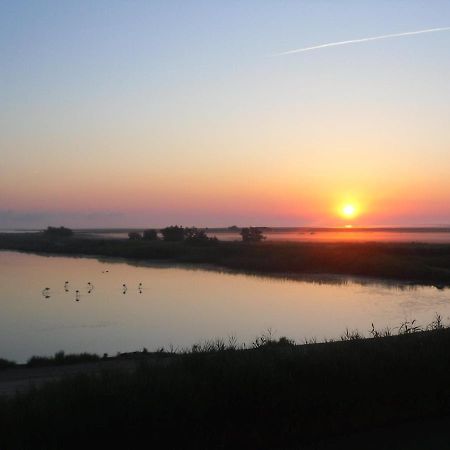 Chambre Les Flamants, Avec Vue Imprenable Sur Les Etangs, Les Oiseaux, La Nature, Petit Dejeuner Compris Saintes-Maries-de-la-Mer Exterior foto
