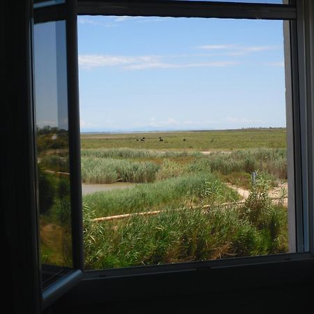 Chambre Les Flamants, Avec Vue Imprenable Sur Les Etangs, Les Oiseaux, La Nature, Petit Dejeuner Compris Saintes-Maries-de-la-Mer Exterior foto