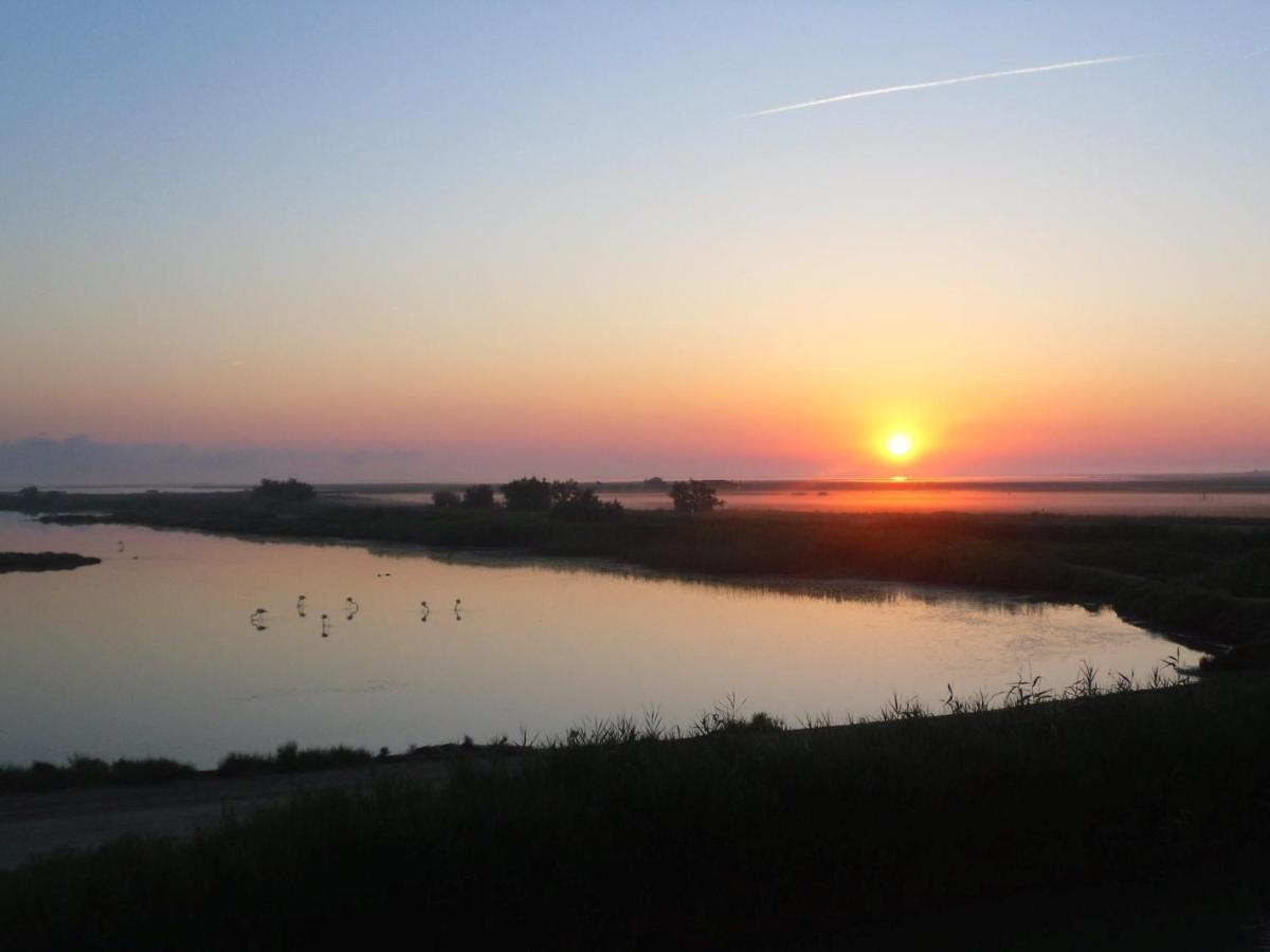 Chambre Les Flamants, Avec Vue Imprenable Sur Les Etangs, Les Oiseaux, La Nature, Petit Dejeuner Compris Saintes-Maries-de-la-Mer Exterior foto